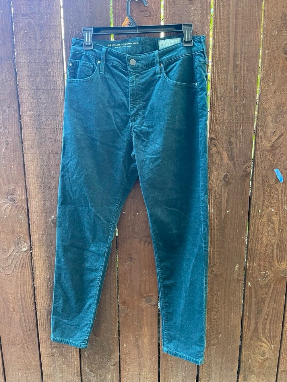 Anthropologie AG the Stevie High Rise Ankle green blue Velvet Straight Pants 30P